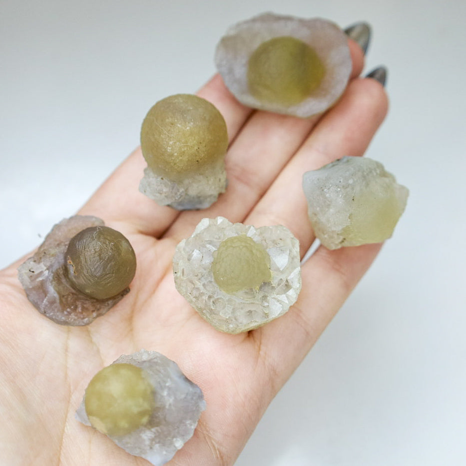 Botryoidal Fluorite specimen F