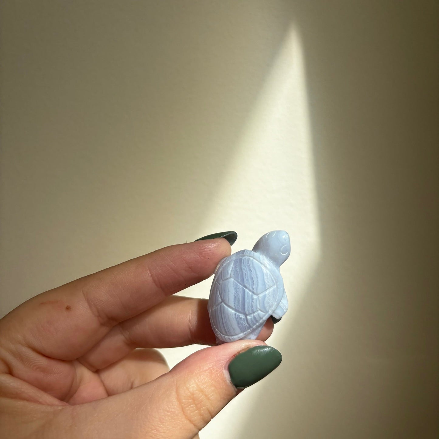 BLUE LACE AGATE TURTLE Cwitchy marketwitchy marketfdvfbBLUE LACE AGATE TURTLE C