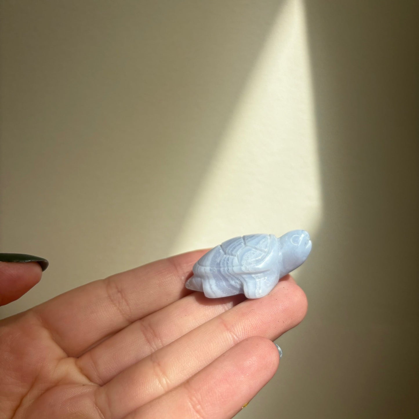 BLUE LACE AGATE TURTLE Cwitchy marketwitchy marketfdvfbBLUE LACE AGATE TURTLE C
