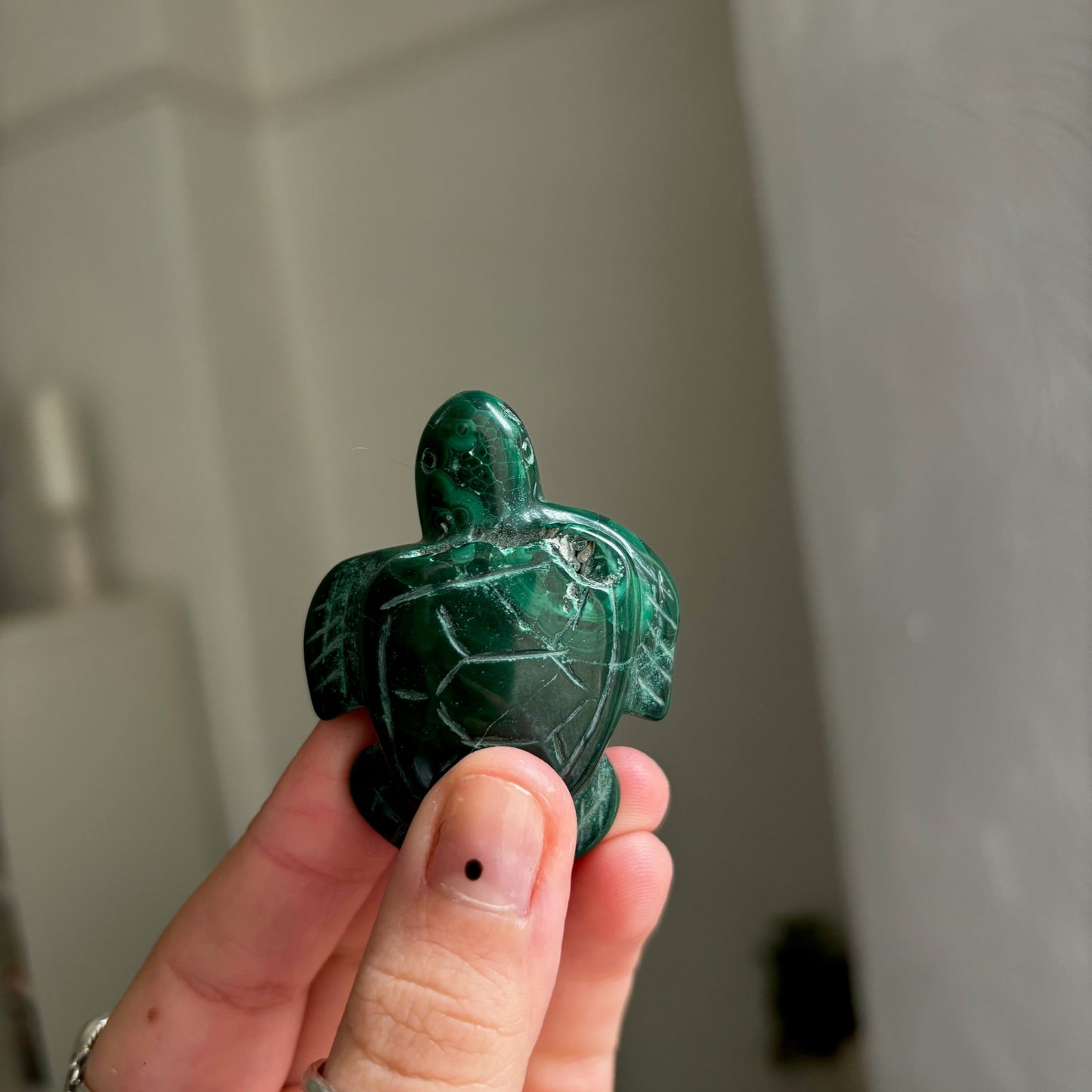 Malachite turtle Mwitchy marketwitchy marketMalachite turtle M