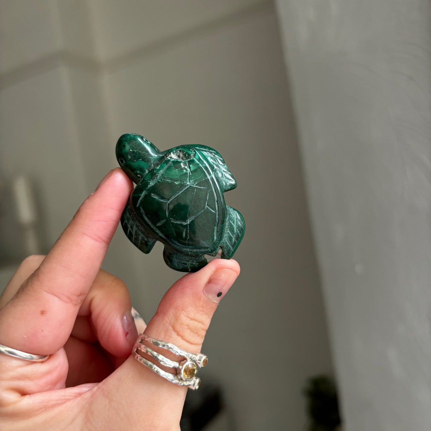 Malachite turtle Mwitchy marketwitchy marketMalachite turtle M