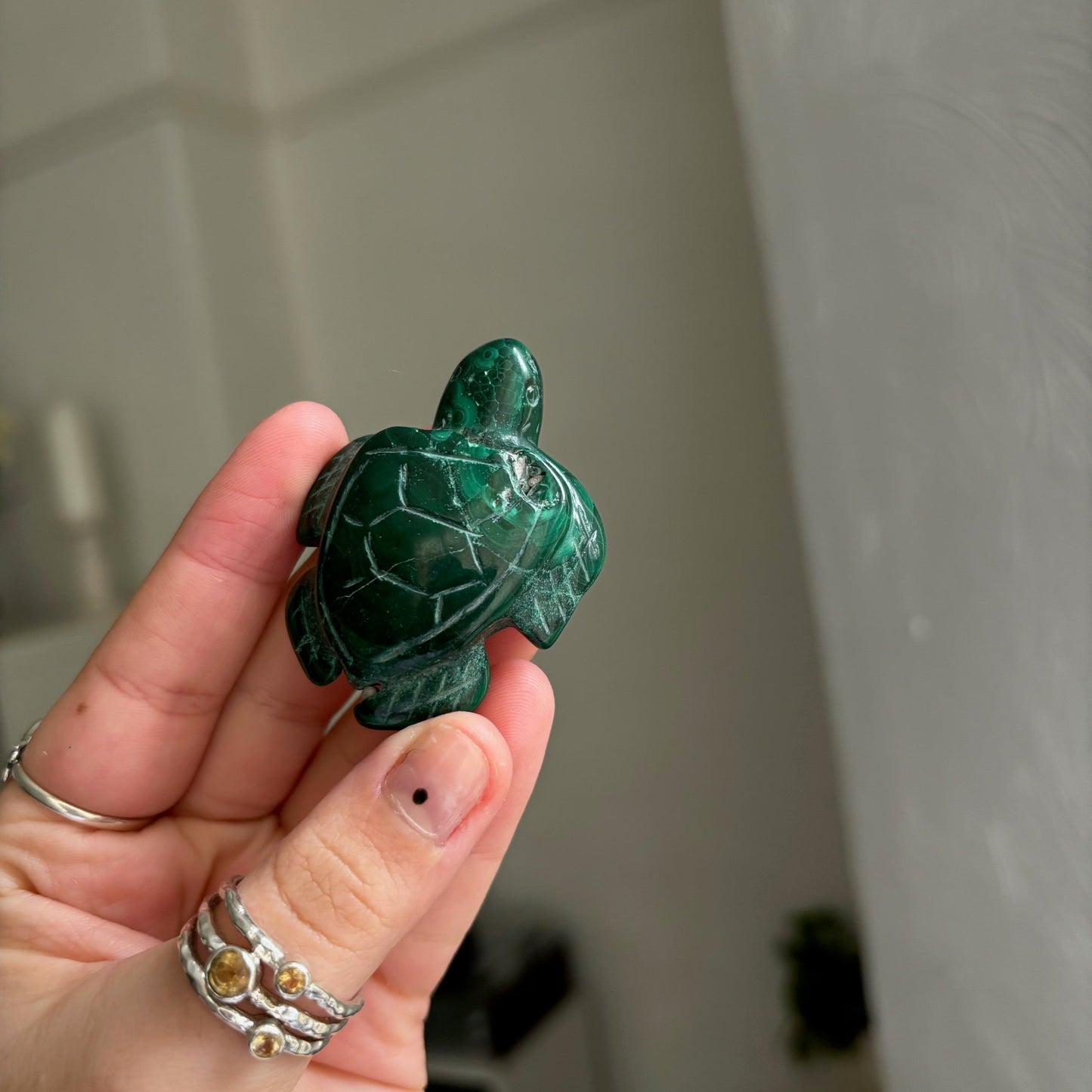 Malachite turtle Mwitchy marketwitchy marketMalachite turtle M