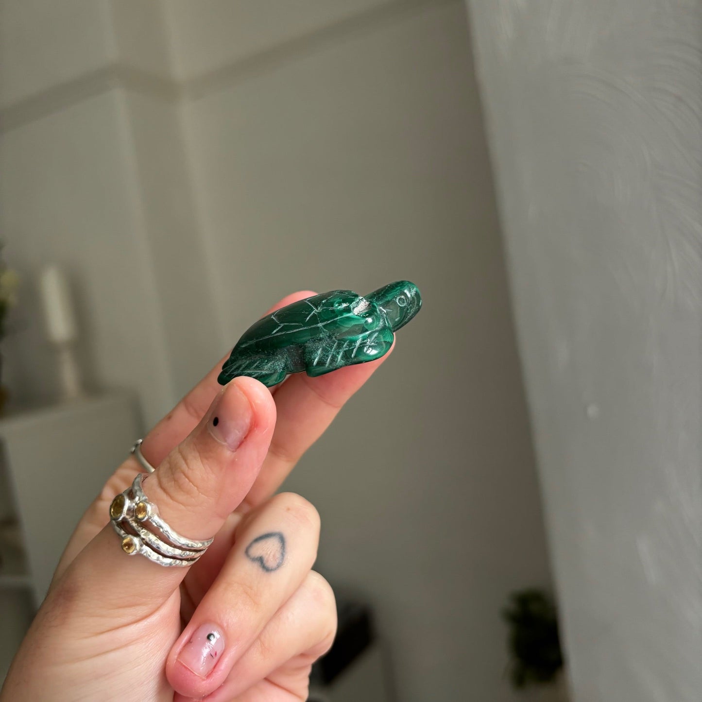 Malachite turtle Mwitchy marketwitchy marketMalachite turtle M