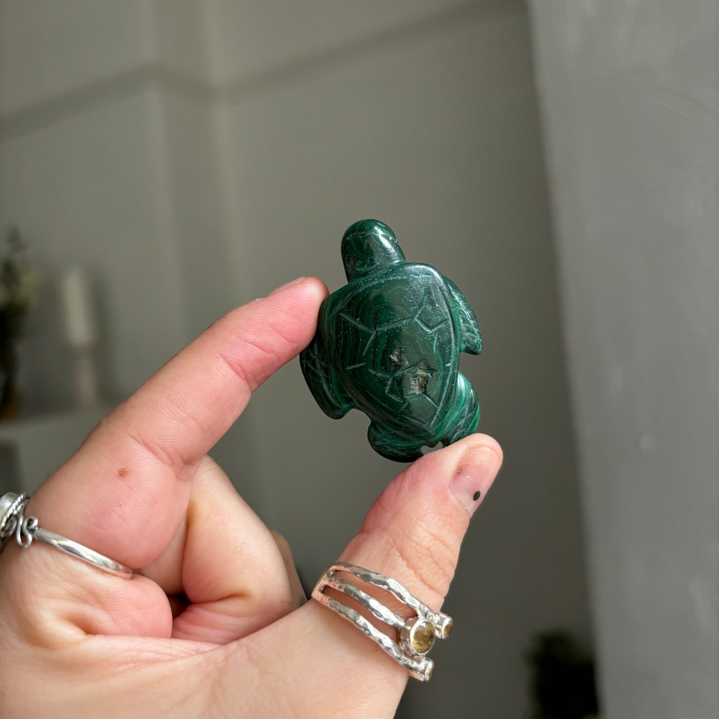 Malachite turtle Twitchy marketwitchy marketMalachite turtle T