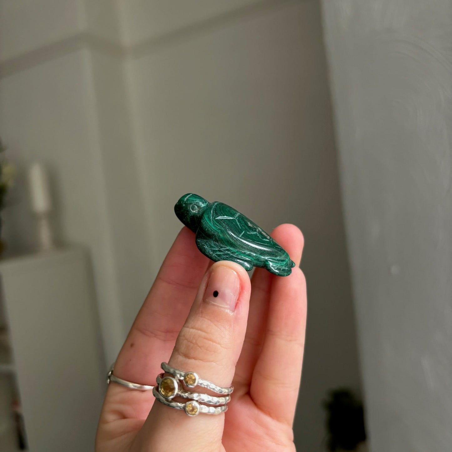 Malachite turtle Twitchy marketwitchy marketMalachite turtle T