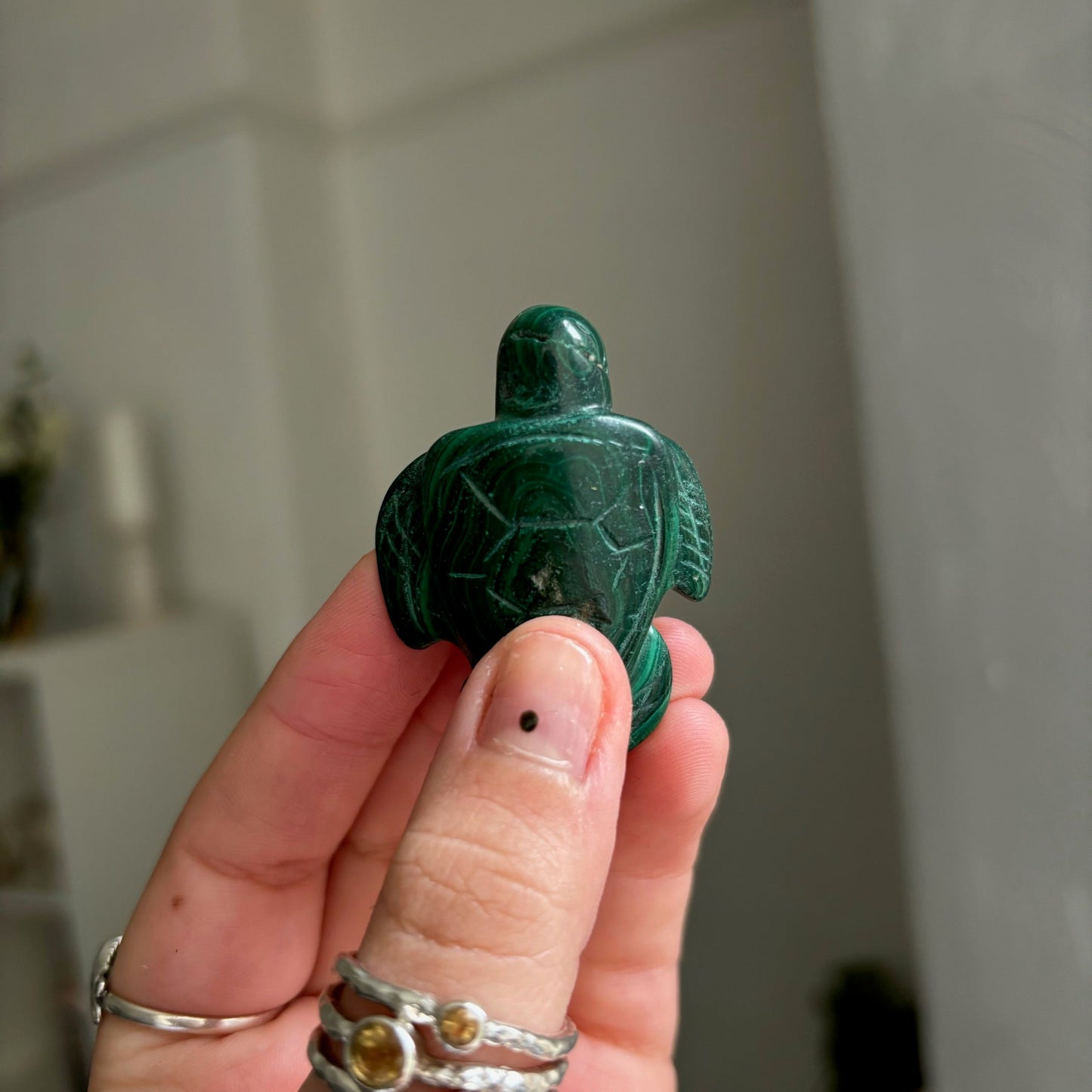 Malachite turtle Twitchy marketwitchy marketMalachite turtle T