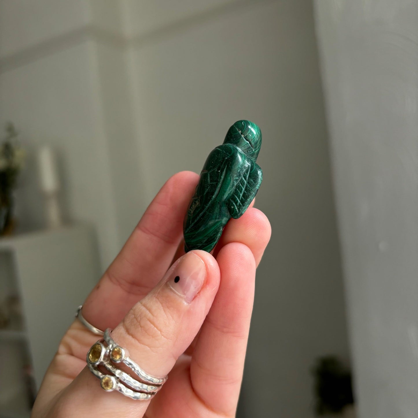 Malachite turtle Twitchy marketwitchy marketMalachite turtle T