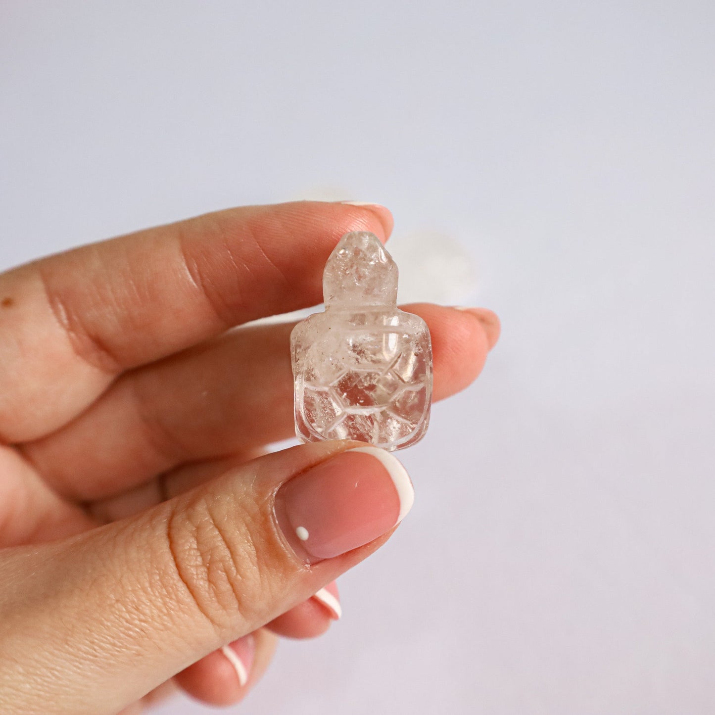 Clear Quartz tortoiseswitchy marketwitchy marketfdhdhdClear Quartz tortoises