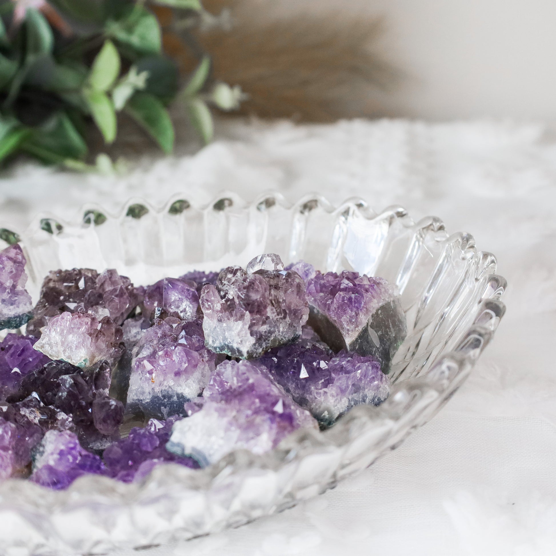 Mini Amethyst clusterswitchy marketwitchy marketRRR1kgMini Amethyst clusters