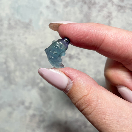 Mini Fluorite crocodileswitchy marketwitchy marketRNGFNRDMini Fluorite crocodiles