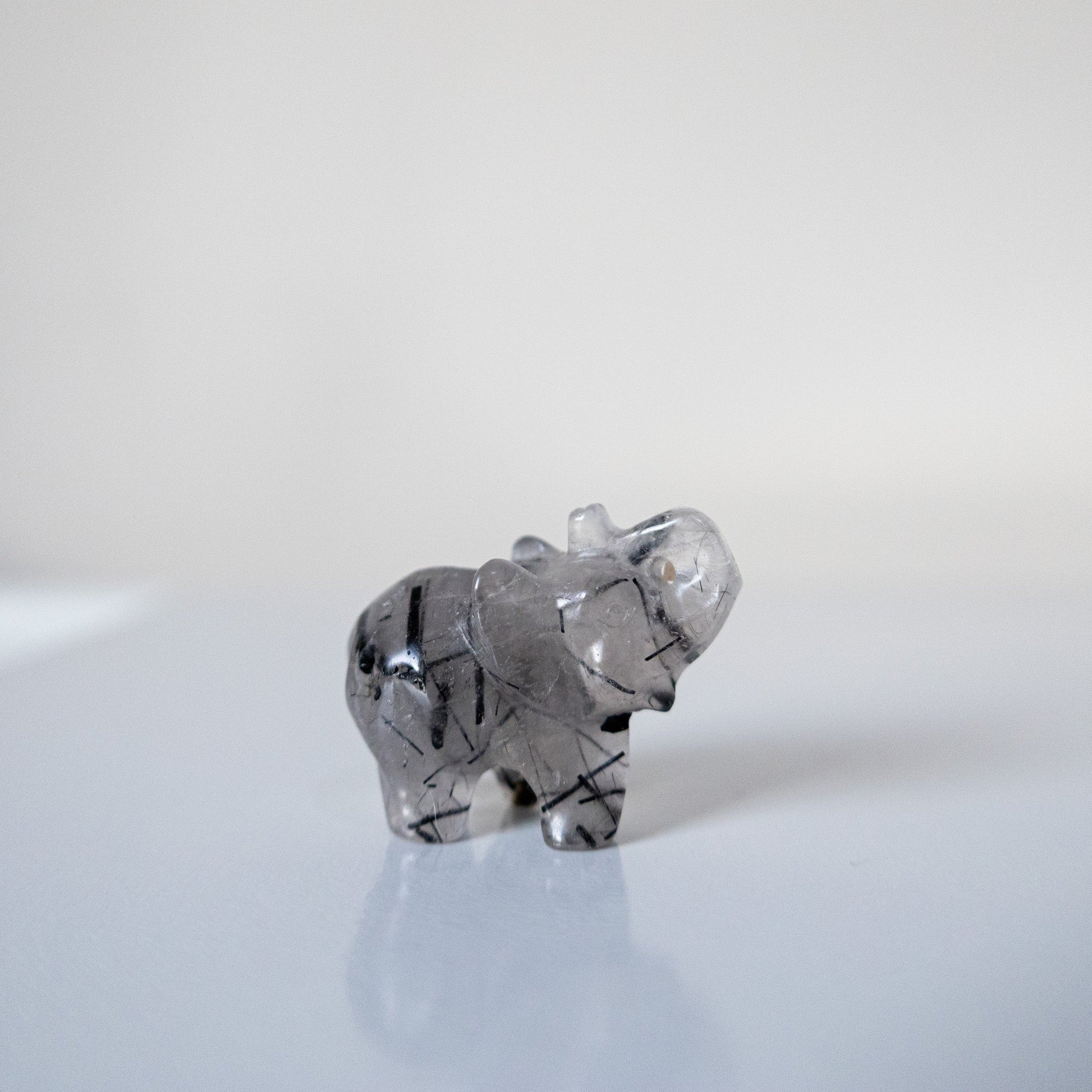 Tourmaline in quartz elephantswitchy marketwitchy marketdsfghjhTourmaline in quartz elephants