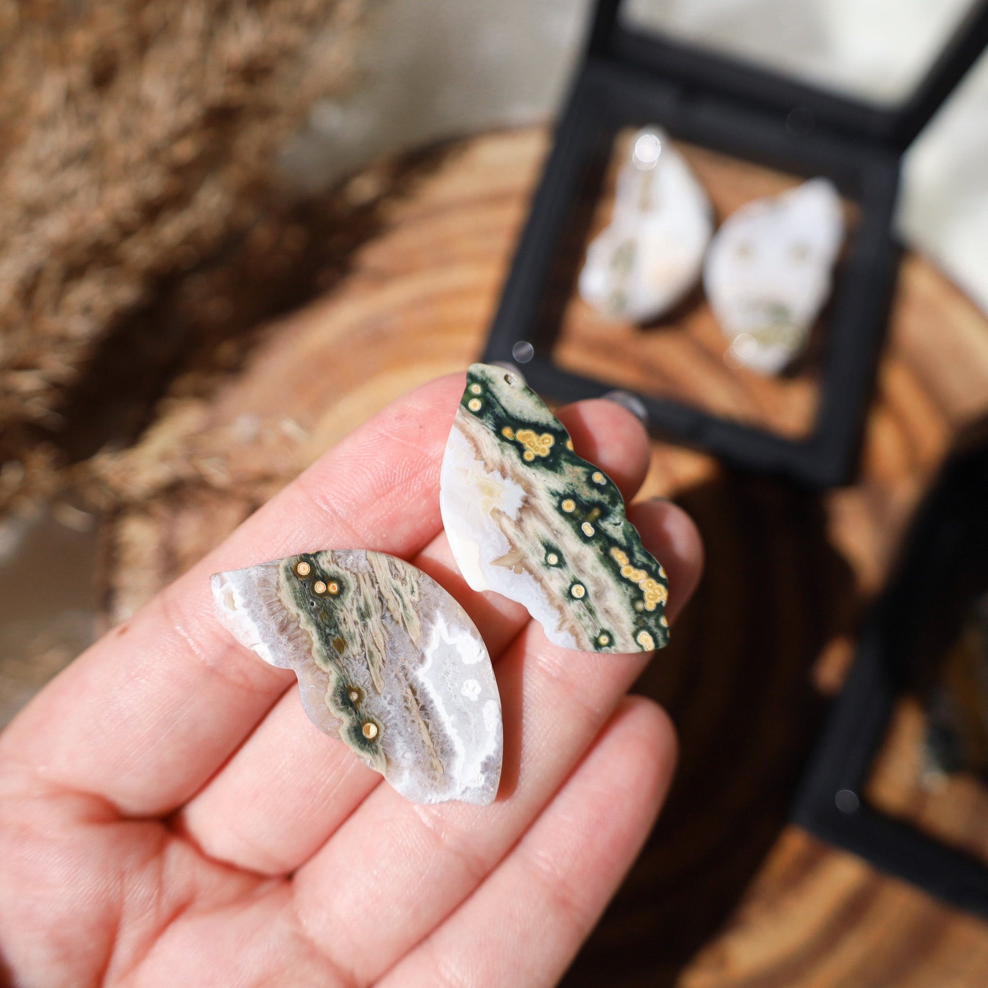 Wing set B - 8th vein Ocean Jasper (Very rare)witchy marketwitchy marketPJ8Wing set B - 8th vein Ocean Jasper (Very rare)