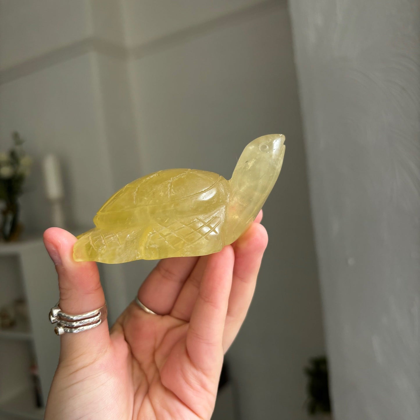 Citrine turtle Awitchy marketwitchy marketCitrine turtle A