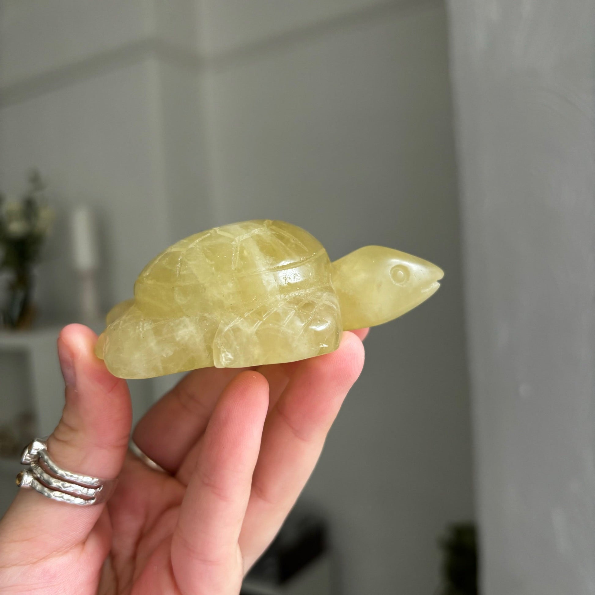 Citrine turtle Bwitchy marketwitchy marketCitrine turtle B