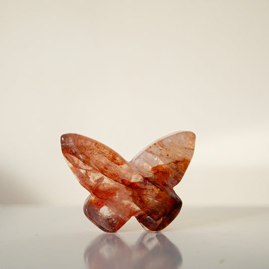Fire quartz butterfly Ewitchy marketwitchy marketdsfghjhFire quartz butterfly E